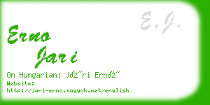 erno jari business card